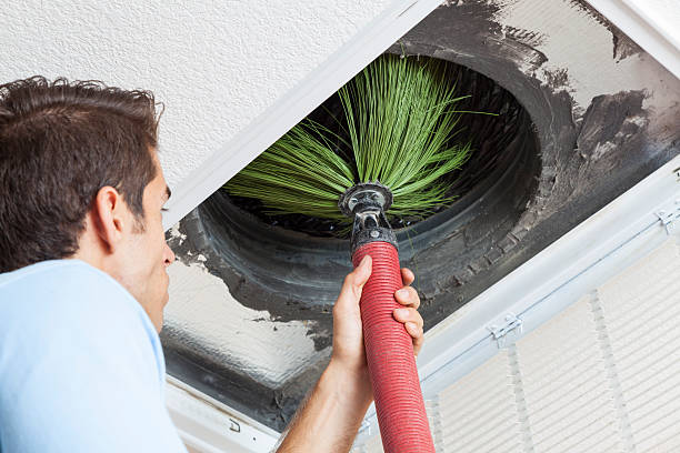 Best Duct Cleaning for Offices  in Horse Cave, KY